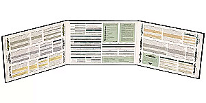 Galda lomu spēle - Otrā pusē vārtiem. Scenārista ekrāns