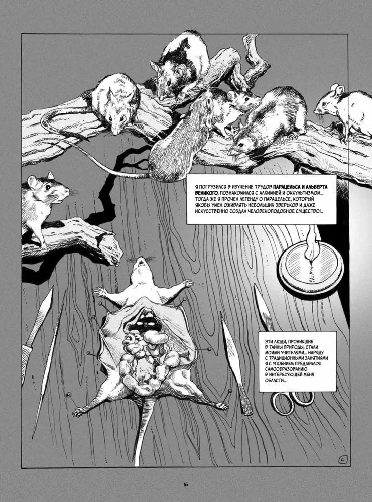 Frankenšteins. Merija Šellija. Grafiskais romāns