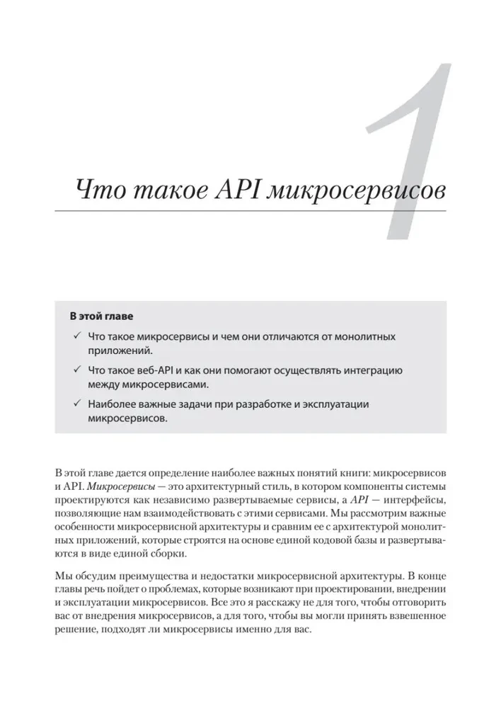 Mikroservisi un API