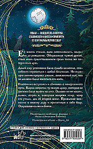 Šilko dārgums