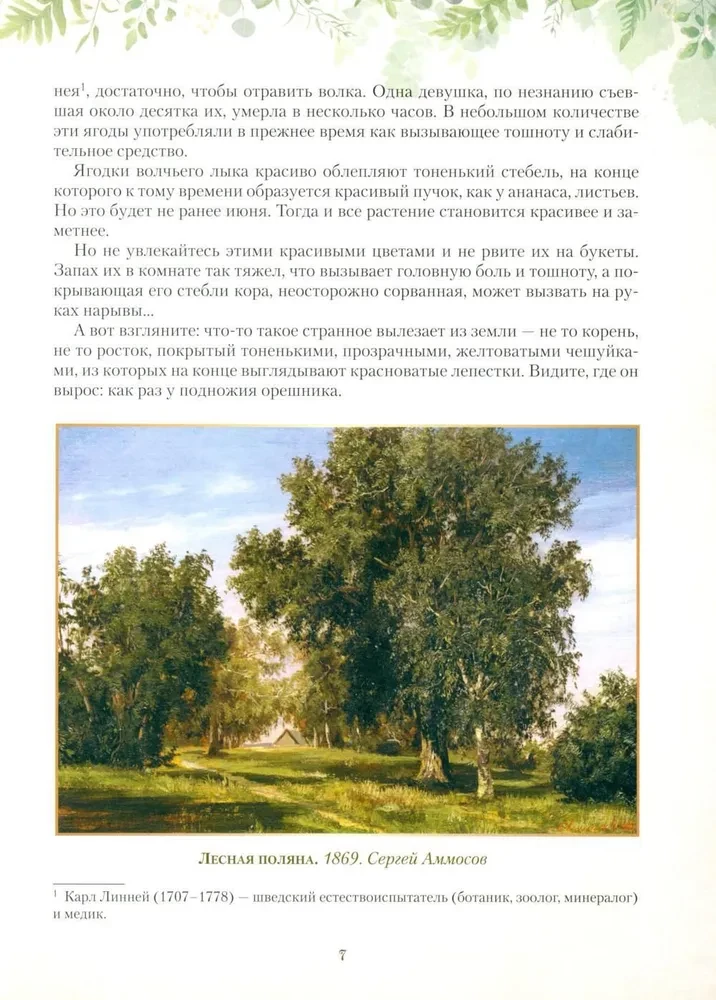 Krievu meža dāvanas. Sēnes, ogas un dziednieciskie augi