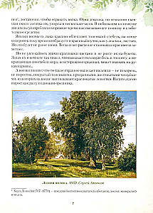 Krievu meža dāvanas. Sēnes, ogas un dziednieciskie augi