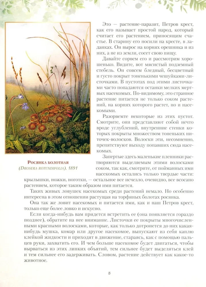 Krievu meža dāvanas. Sēnes, ogas un dziednieciskie augi