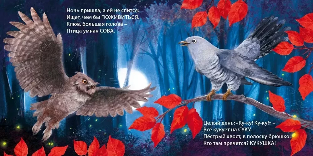 Tik dažādi putni. Mīklas - atskaņas