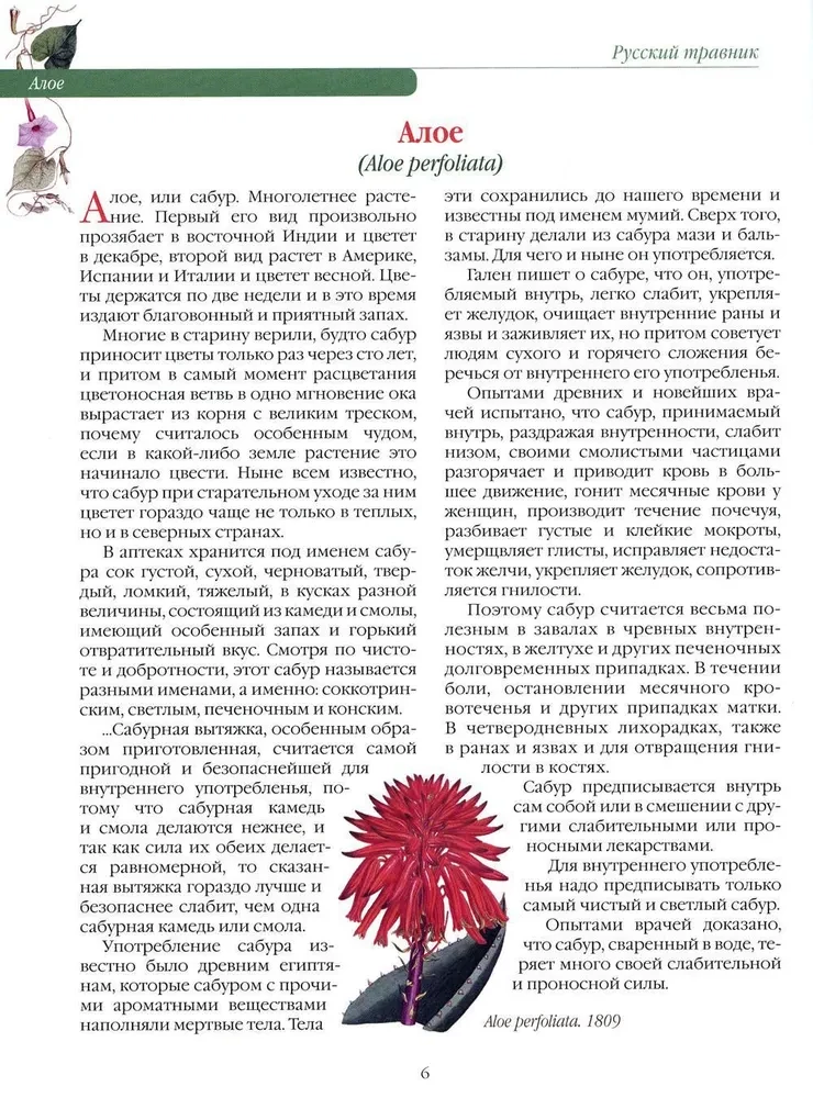 Krievu zāļu grāmata