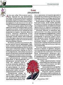 Krievu zāļu grāmata