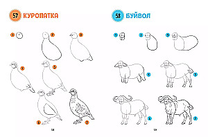 Большая книга животных. 300 рисунков шаг за шагом