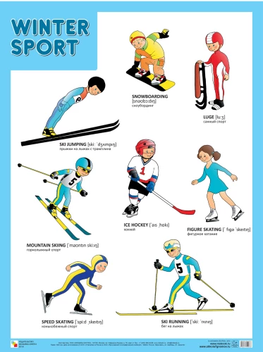 Ziemas sports (Зимние виды спорта), plakāts 45x60