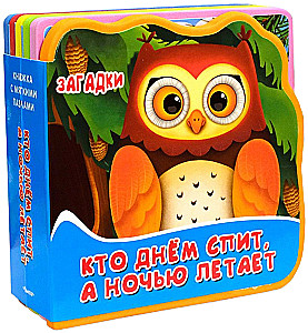 Загадки. Кто днем спит, а ночью летает