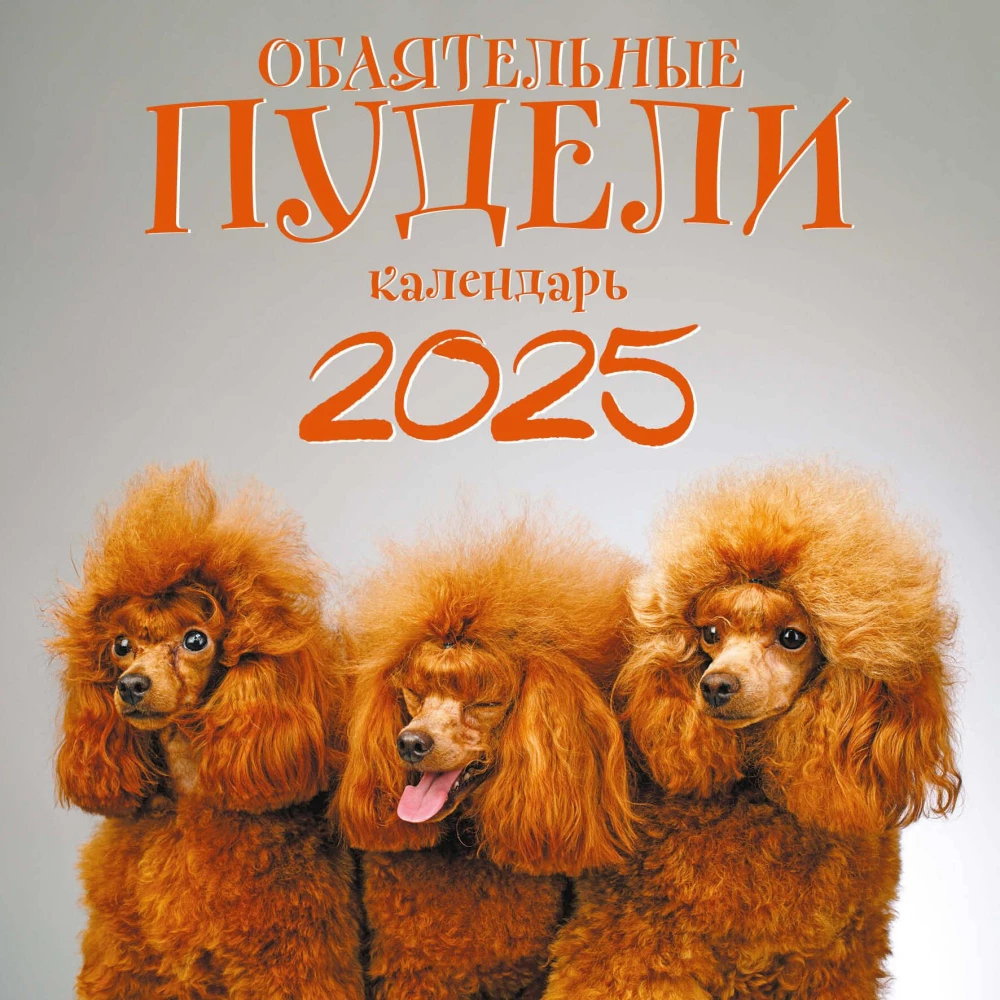 Aizraujoši pūdeļi. Sienas kalendārs 2025. gadam (300x300)