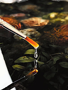 Mākslinieciskā epoksīda sveķi. Resin Art. Visaptverošs un saprotams soli pa solim ceļvedis iesācējiem un aizrautīgajiem