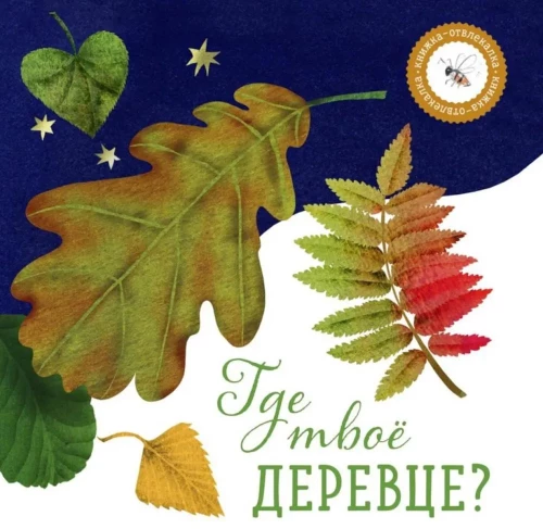 Kur ir tavs kociņš?