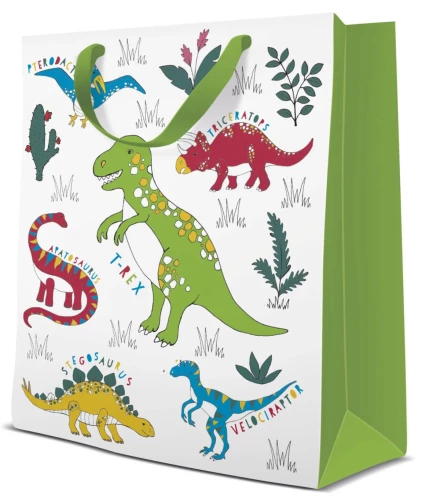 Dāvanu soma - Dinosaurus (20x25x10)