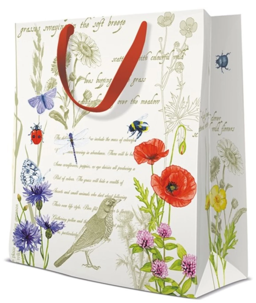 Dāvanu soma - Summer Letter (26.5x33.5x13)