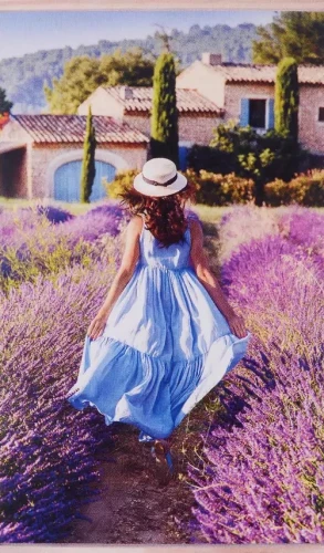 Glezna krāsošanai pēc numuriem - Lavanda