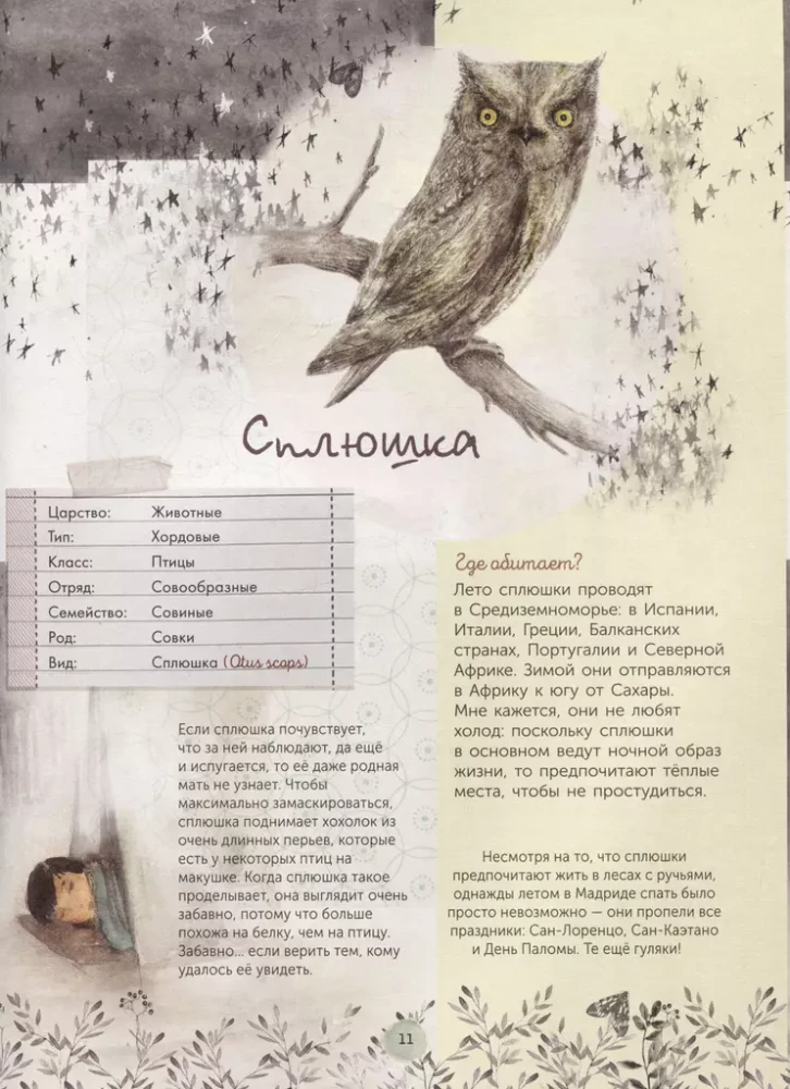 Labākais putnu, kukaiņu un koku noteicējs no Mirandas