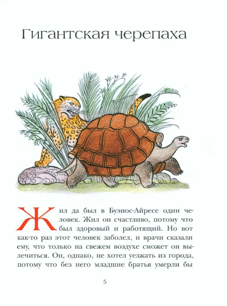 Uz Jabebiri krastiem