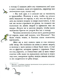 Uz Jabebiri krastiem