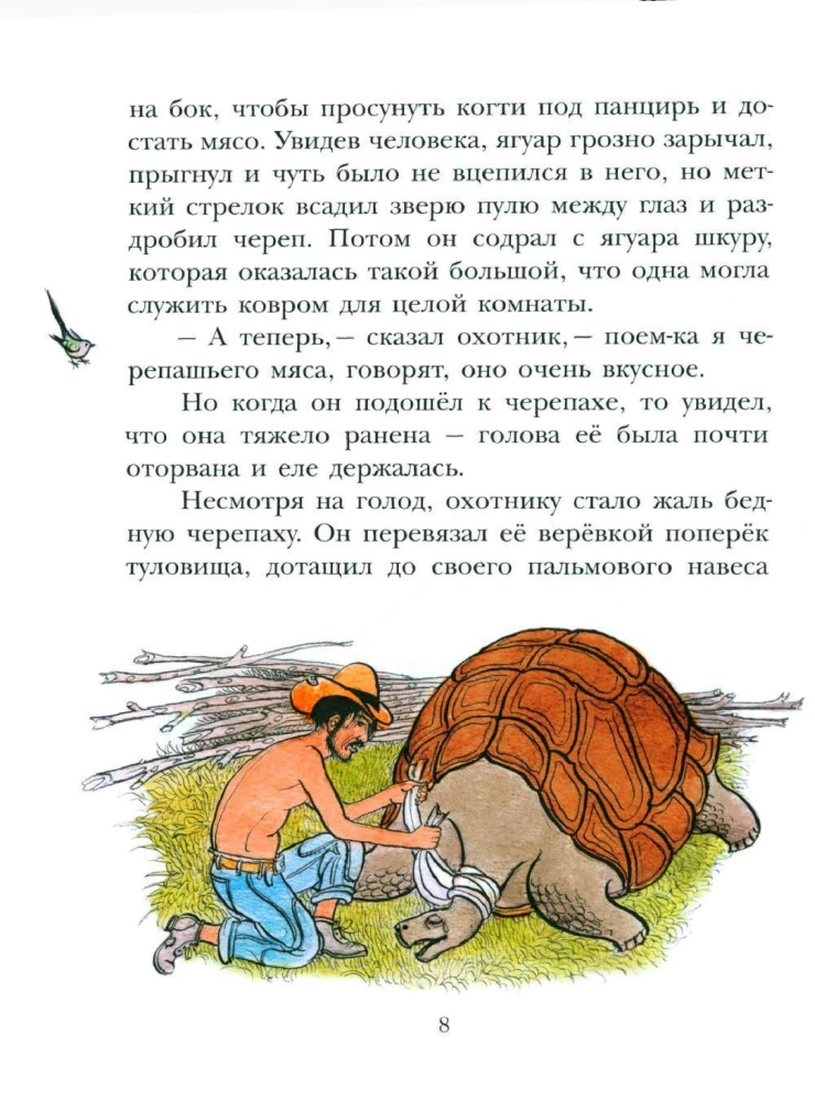 Uz Jabebiri krastiem