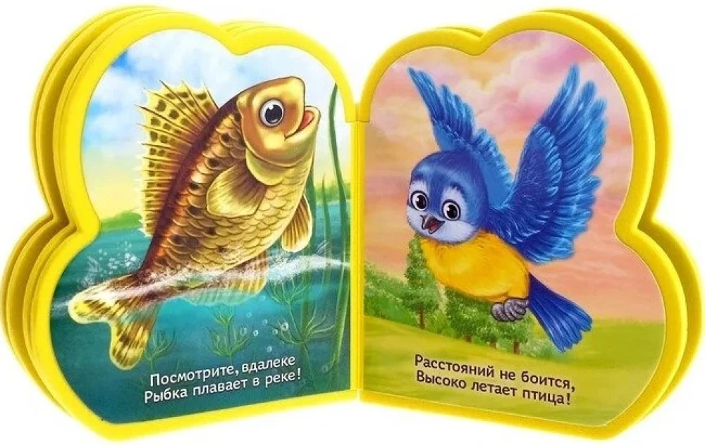 Mīkstā grāmata EVA - Kas ko prot