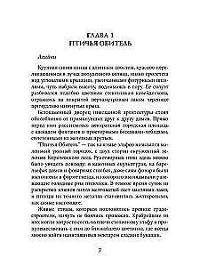 Принцесса Туманного леса