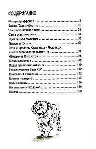 Stāsti ar laimīgu asti