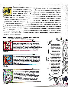 Viduslaiku labirints. Uzdevumu krājums bērniem