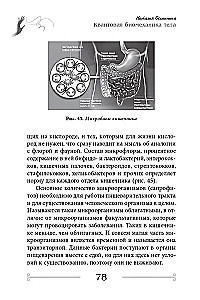 Kvantiskā biomehānika ķermenim. Metodika veselības uzlabošanai balsta un kustību aparātā (3. daļa)