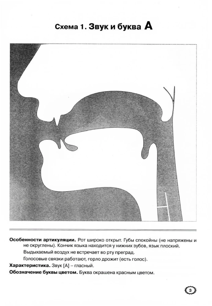 Skaņu artikulācija grafiskajā attēlojumā