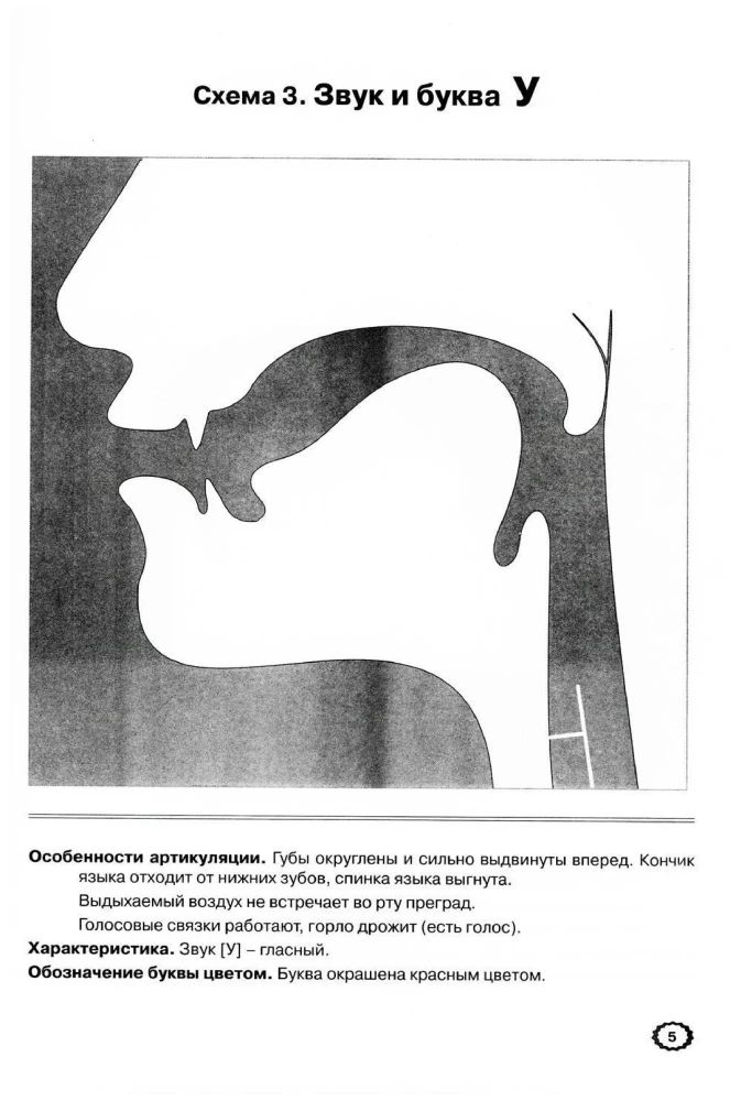 Skaņu artikulācija grafiskajā attēlojumā