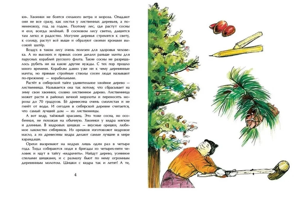 Taiga. Apbrīnojams mežs