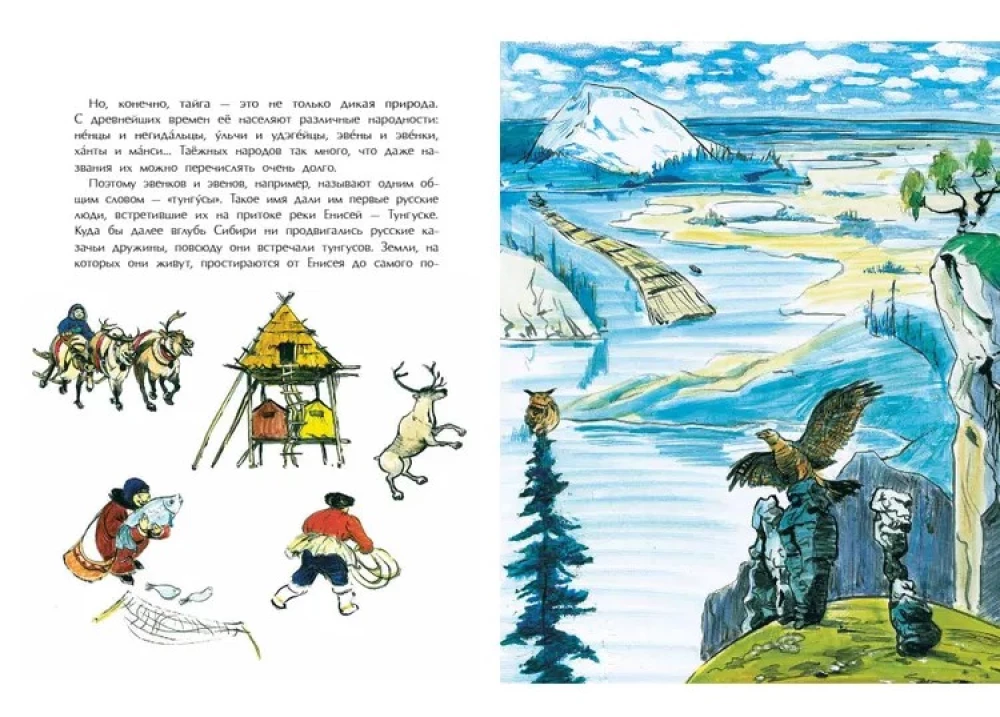 Taiga. Apbrīnojams mežs