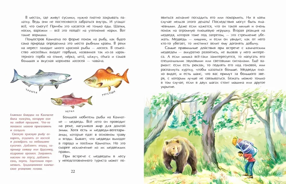 Kamčatka. Sniega un uguns