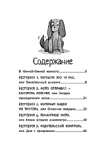 Aizvesti Tīklā