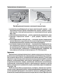 Traumatoloģija un ortopēdija