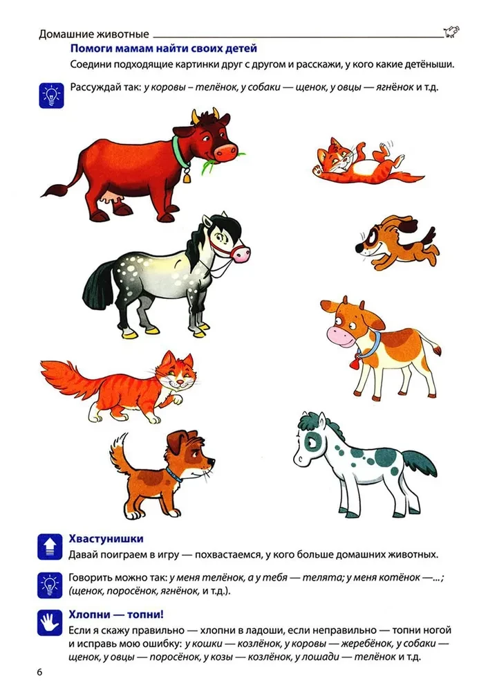Veidojam vārdu krājumu (Izdevums 3). Mājdzīvnieki, savvaļas dzīvnieki un putni, zivis, kukaiņi