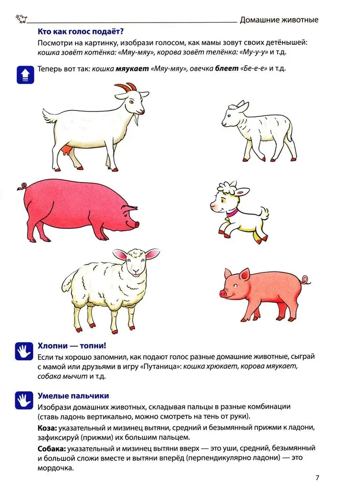 Veidojam vārdu krājumu (Izdevums 3). Mājdzīvnieki, savvaļas dzīvnieki un putni, zivis, kukaiņi