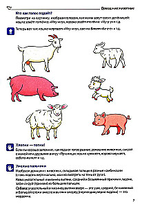 Veidojam vārdu krājumu (Izdevums 3). Mājdzīvnieki, savvaļas dzīvnieki un putni, zivis, kukaiņi
