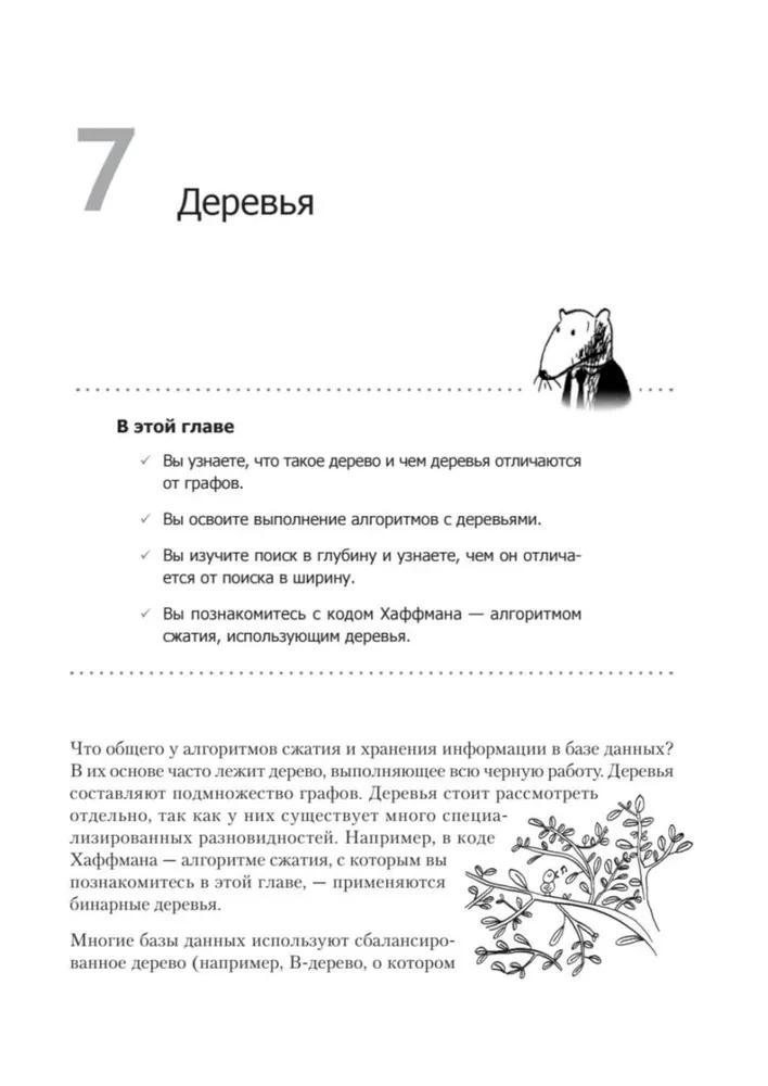 Grokājam algoritmus
