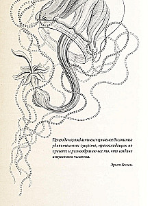 Dabas formu skaistums. Vēsturisko ilustrāciju albums