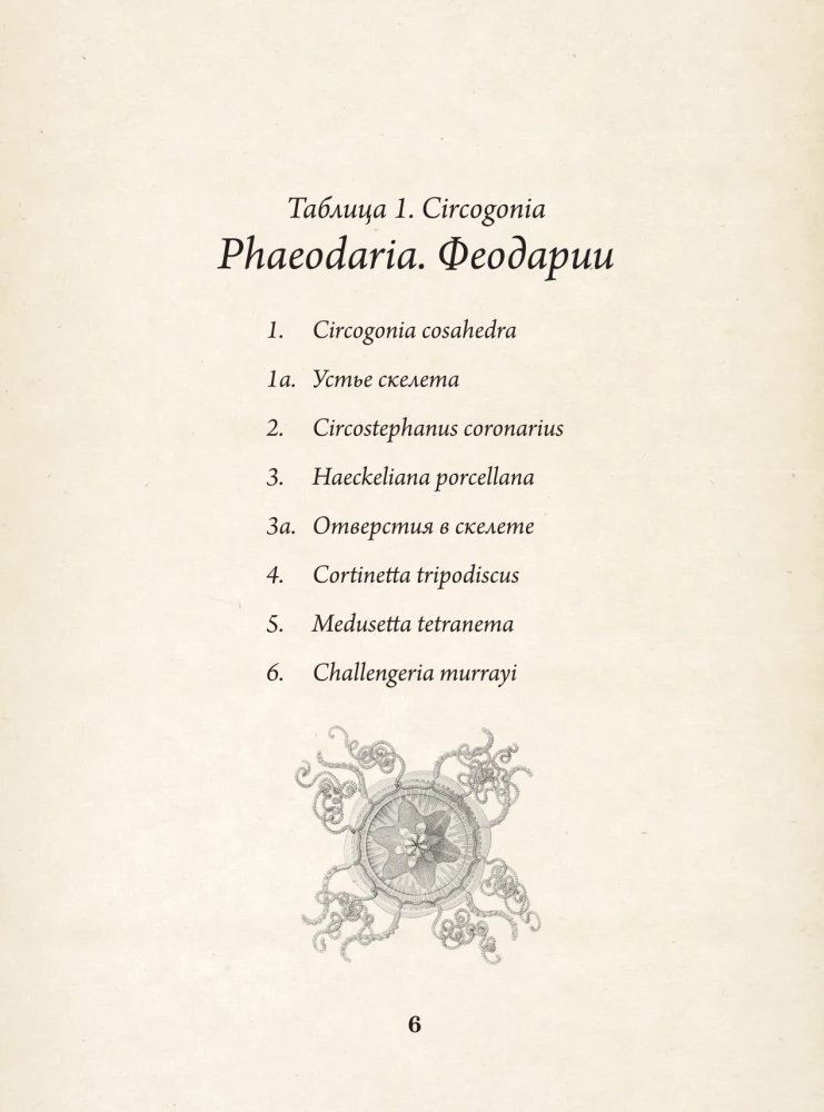 Dabas formu skaistums. Vēsturisko ilustrāciju albums