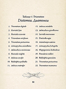 Dabas formu skaistums. Vēsturisko ilustrāciju albums
