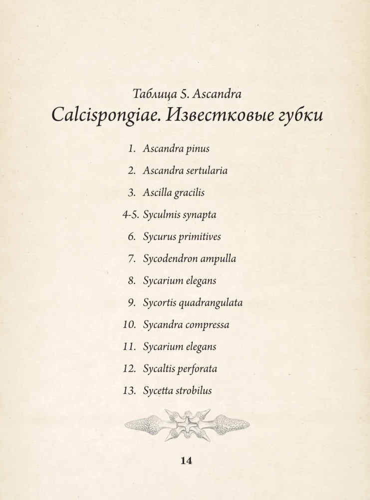 Dabas formu skaistums. Vēsturisko ilustrāciju albums
