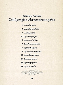 Dabas formu skaistums. Vēsturisko ilustrāciju albums