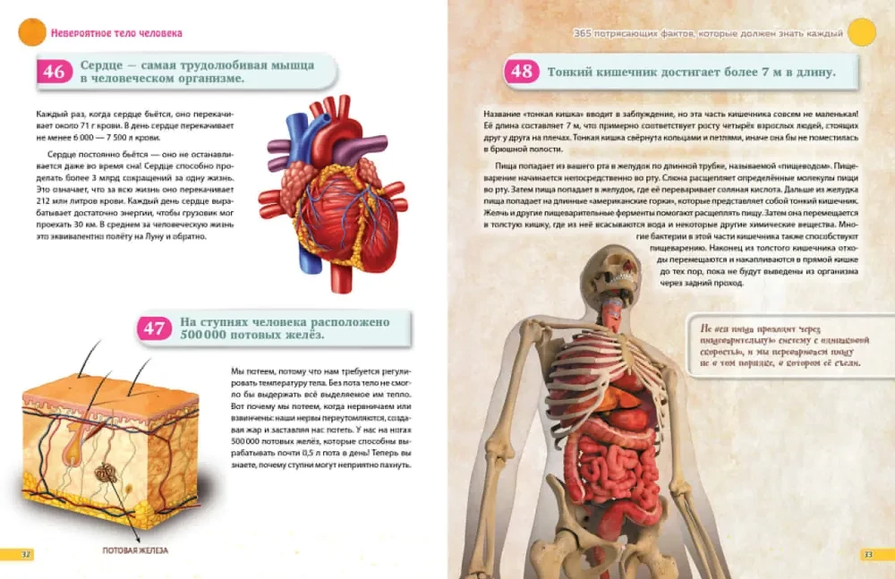 Zinu visu! 365 pārsteidzoši fakti, kurus katram jāzina