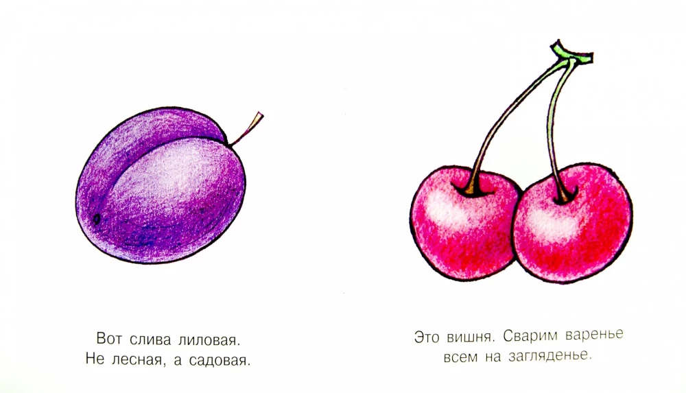 Manas pirmās vārdi. Augļi