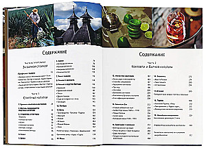 Bārmenu Bībele