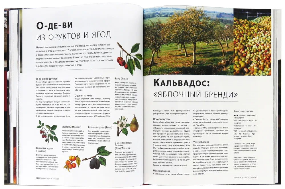 Bārmenu Bībele