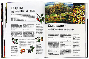 Bārmenu Bībele