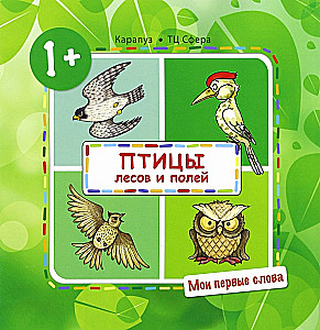 Manas pirmās vārdi. Mežu un lauku putni